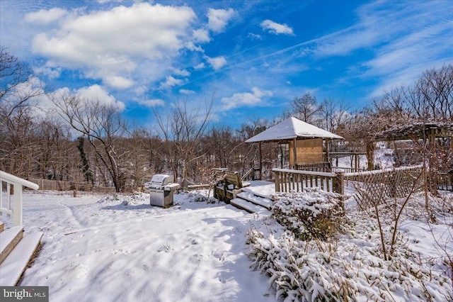 view of yard layered in snow