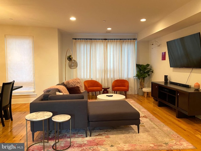 living room with light wood-type flooring