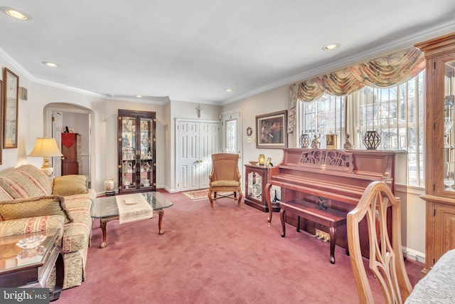 living area featuring crown molding and carpet