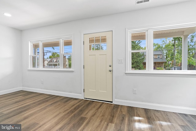 entryway with hardwood / wood-style floors and a wealth of natural light