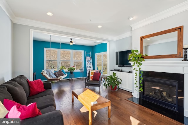 living room featuring crown molding and dark hardwood / wood-style floors