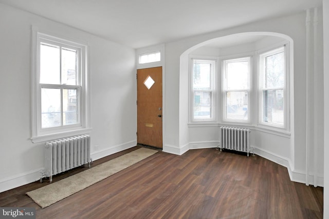 foyer featuring plenty of natural light, radiator heating unit, and dark hardwood / wood-style flooring