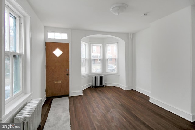 entryway with radiator heating unit, a healthy amount of sunlight, and dark hardwood / wood-style floors