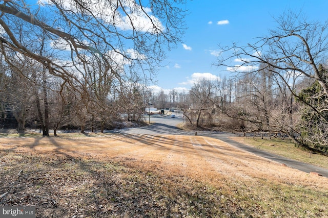 view of road