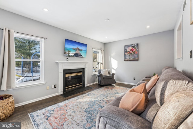 living room with dark wood-type flooring and a healthy amount of sunlight