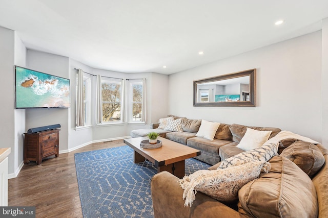 living room featuring hardwood / wood-style flooring