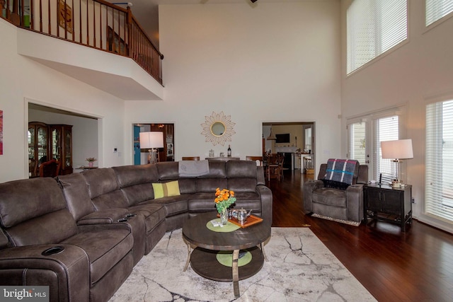 living room with dark hardwood / wood-style floors