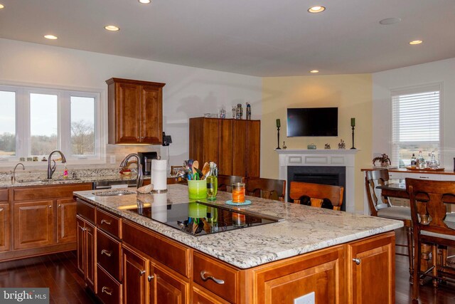 kitchen with sink, dark hardwood / wood-style floors, a wealth of natural light, and black electric cooktop