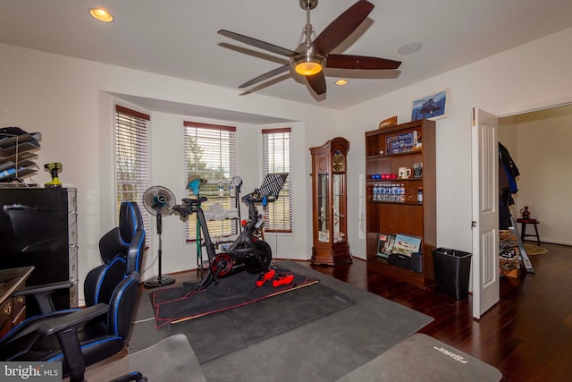 exercise room featuring dark hardwood / wood-style floors and ceiling fan