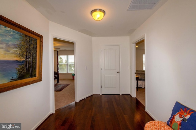 hall featuring dark hardwood / wood-style floors