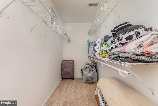 spacious closet with visible vents and carpet floors