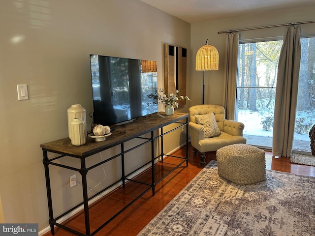 sitting room featuring hardwood / wood-style floors