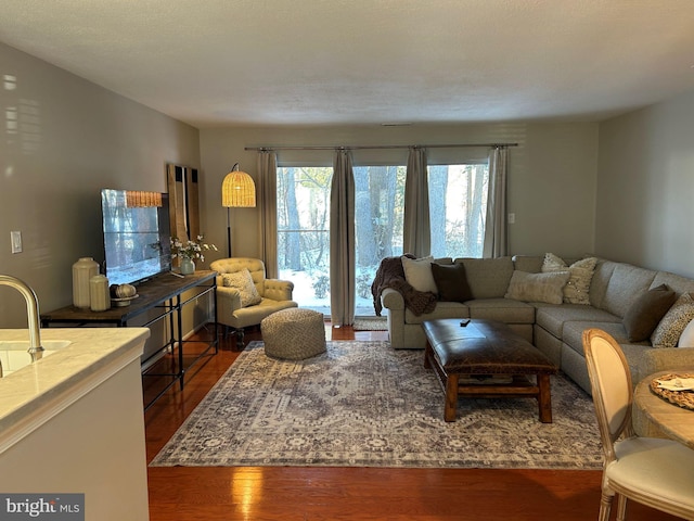 living room with dark hardwood / wood-style flooring