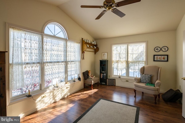 living area with ceiling fan, lofted ceiling, plenty of natural light, and dark hardwood / wood-style flooring