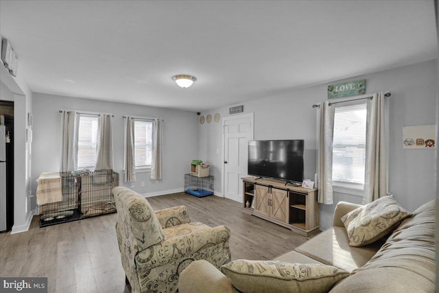 living room featuring light hardwood / wood-style floors