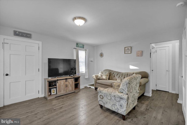 living room featuring wood-type flooring