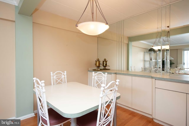 dining room with light hardwood / wood-style flooring