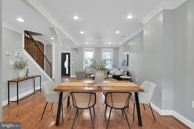 dining space with crown molding, ceiling fan, and light hardwood / wood-style flooring