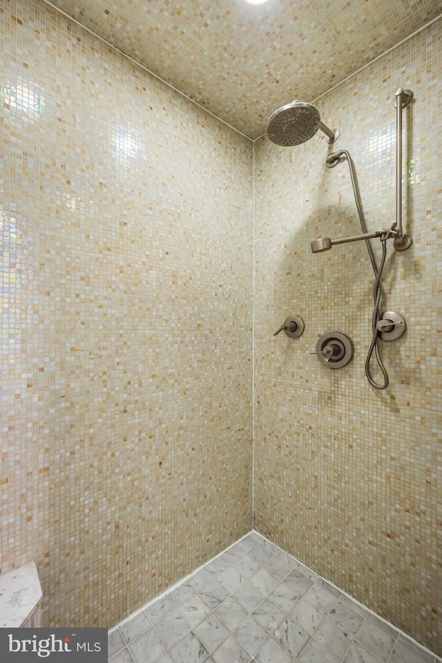 bathroom featuring tiled shower