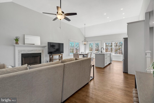 living area featuring a wealth of natural light, vaulted ceiling, a fireplace, and dark wood-style flooring