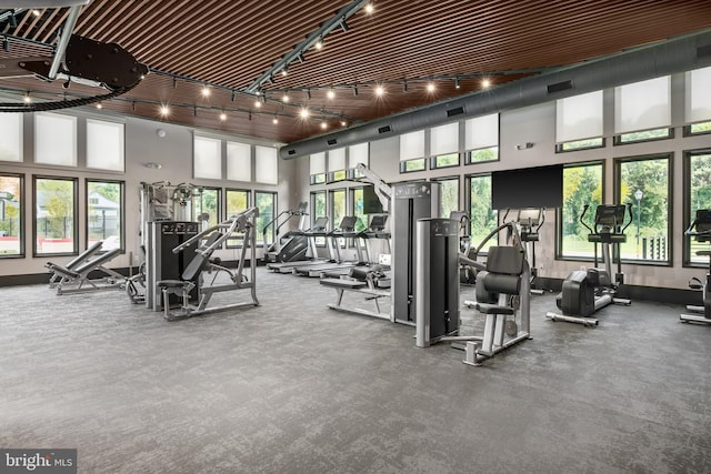 gym featuring a wealth of natural light and a high ceiling