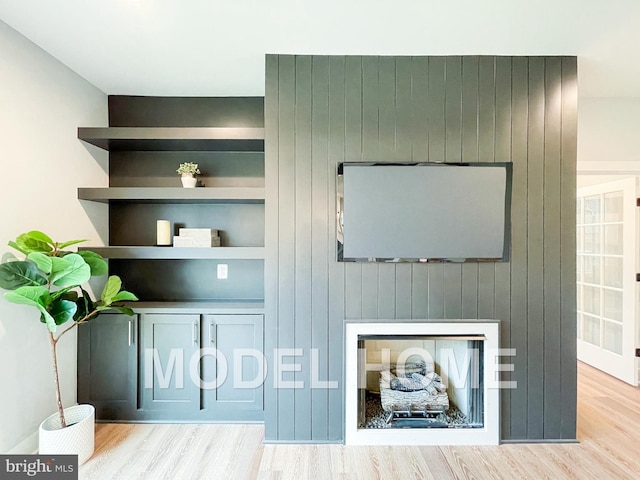 room details featuring wood-type flooring, built in features, and a fireplace