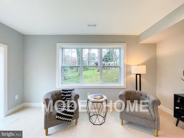 sitting room featuring carpet flooring