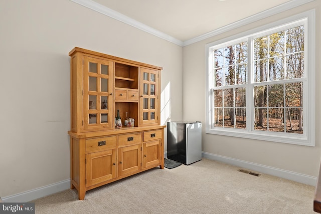 interior space featuring a healthy amount of sunlight, light colored carpet, and ornamental molding