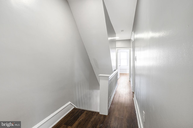 hallway featuring dark wood-type flooring