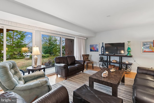 living room featuring hardwood / wood-style flooring