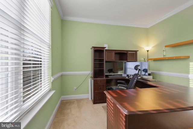 office with ornamental molding and light colored carpet