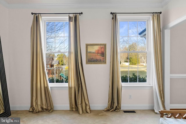 interior details featuring ornamental molding and carpet flooring