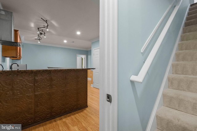 kitchen featuring ornamental molding, rail lighting, sink, and light wood-type flooring