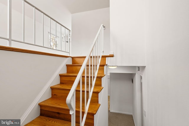 staircase featuring carpet flooring