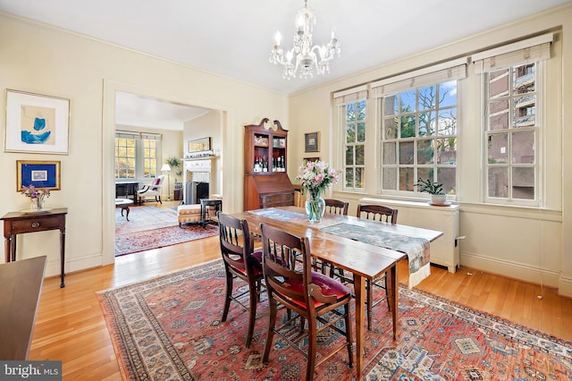 dining area with light hardwood / wood-style flooring, a chandelier, and radiator heating unit