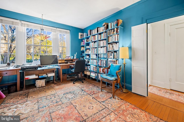 office space featuring hardwood / wood-style floors