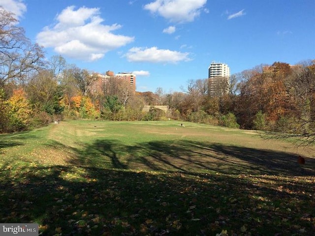 view of community with a lawn