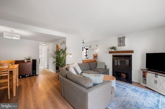 living room with wood-type flooring