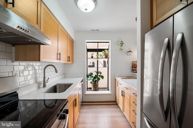 kitchen featuring ventilation hood, sink, decorative backsplash, stainless steel appliances, and light hardwood / wood-style flooring