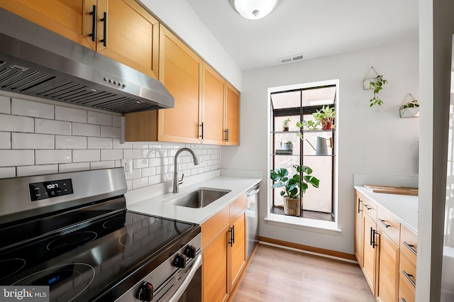 kitchen with sink, tasteful backsplash, light wood-type flooring, stainless steel appliances, and exhaust hood