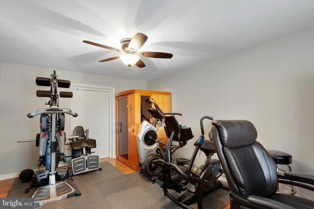 exercise area featuring ceiling fan