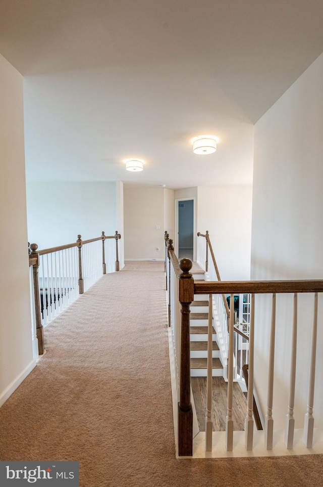 hallway with light carpet