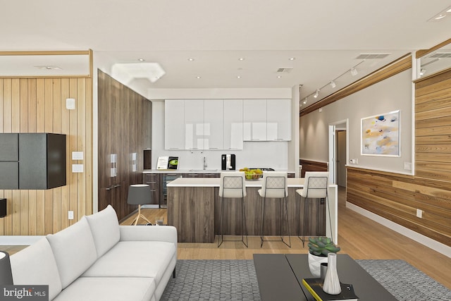 living room with sink, wooden walls, and light hardwood / wood-style floors