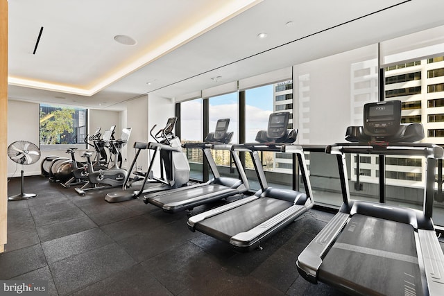 gym featuring a raised ceiling