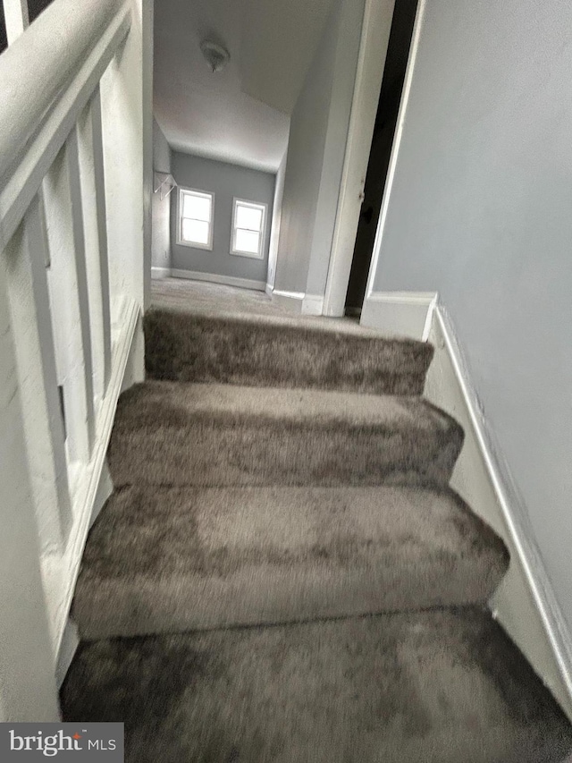 staircase featuring carpet flooring