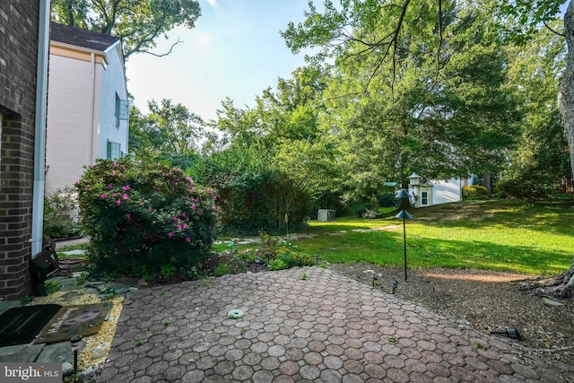 view of yard with a patio area