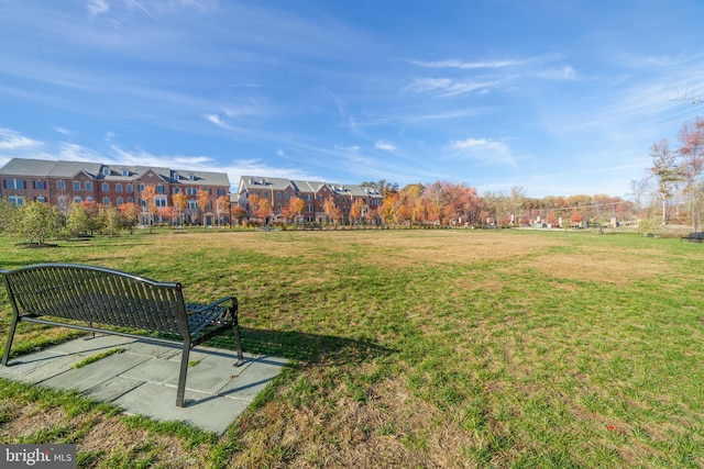 view of community featuring a yard