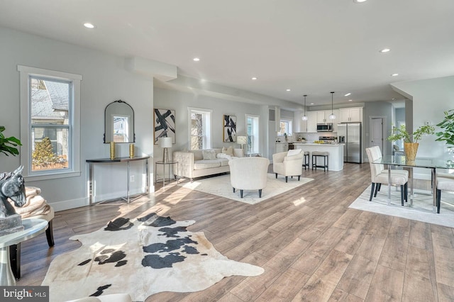 living room with light wood-type flooring