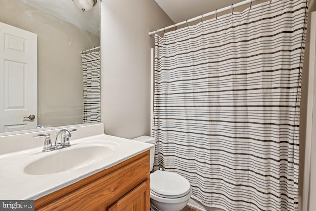 bathroom with vanity, walk in shower, and toilet