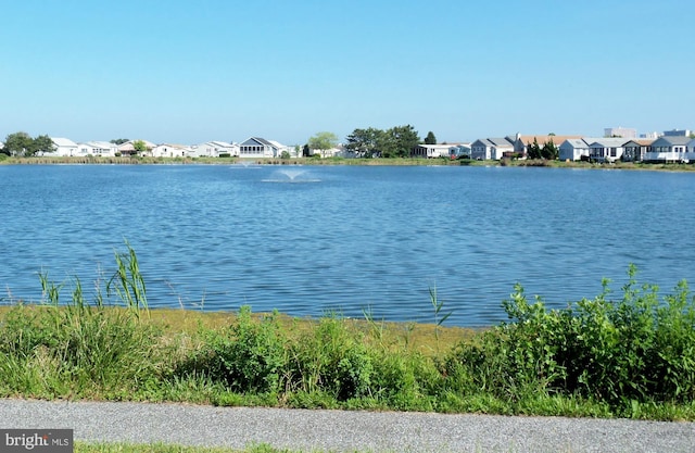 view of water feature